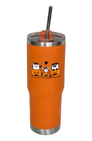 Arcticware 30 oz Orange BPA-Free Vacuum Insulated Stainless Steel Tumbler